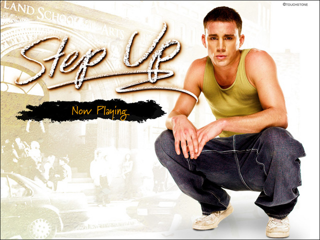 stepup4800x600wc2.jpg